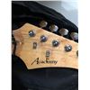 Image 2 : Academy electric guitar w/case