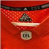 Image 3 : Group of 2 BC Lions fan jerseys