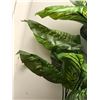 Image 2 : 80" artificial potted plant
