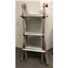 Image 1 : Titan heavy-duty type 1 M13 step ladder