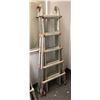 Image 1 : Little Giant - extendable ladder