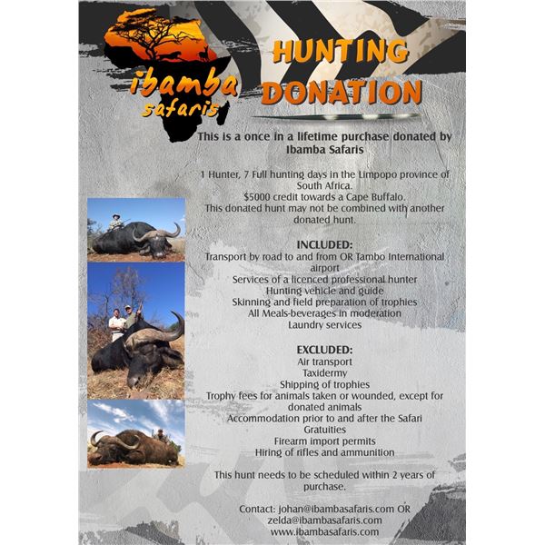 Cape Buffalo Hunt in South Africa