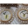 Image 5 : Butterfly coasters & two Madagascar colorful moths