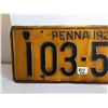Image 3 : 1928 Penna License plate