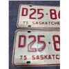Image 2 : Pair of 1975 Saskatchewan license D plates