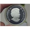 Image 5 : 2015 "The Canadian Horse: Little Iron horse" Canadian 100 dollar, fine silver coin
