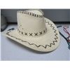 Image 3 : New Suede Cowboy Hat and 2 Bolo Ties