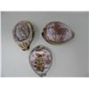 Image 1 : VINTAGE CARVED SEA SHELLS - Lot of 3 - Virgo,  Sagittarius,  an a Owl