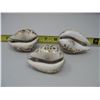 Image 3 : VINTAGE CARVED SEA SHELLS - Lot of 3 - Virgo,  Sagittarius,  an a Owl
