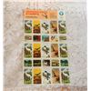 Image 2 : Stamps Including Endangered Species Sheet