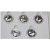 Image 4 : 2015 "Colourful songbirds of Canada" 5pc 10 dollar, fine silver coin set - in box