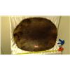 Image 1 : Beaver pelt