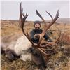 Image 3 : Golden Bear Outfitting: BC Mountain Goat, Canadian Moose, or Mountain Caribou Hunt