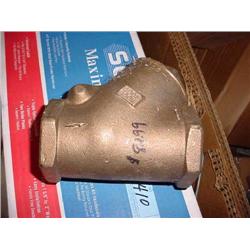 Swing Check Valve 2"