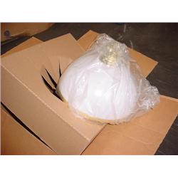 Hanging Lite Fixture