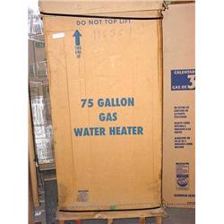 Richmond Natural Gas 75 gallon