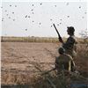 Image 4 : Paco Riestra has donated this Four Day Dove Hunt for (Up To) Six Hunters in Argentina Value$14,400