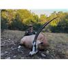 Image 3 : Texas Trophy Exotic Hunt for 2- 5 Hunters donated by L& L Adventures Value $7,500