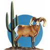 Image 1 : ARIZONA DESERT BIGHORN SHEEP SOCIETY LIFE MEMBERSHIP
