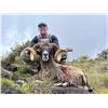 Image 2 : HAWAII HYBRID SHEEP HUNT