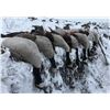 Image 1 : NORTH DAKOTA WATERFOWL HUNT