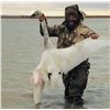 Image 2 : NORTH DAKOTA WATERFOWL HUNT