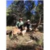 Image 6 : ARIZONA MOUNTAIN LION HUNT WITH HOUNDS