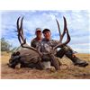 Image 2 : TROPHY NEW MEXICO MULE DEER HUNT W/BLACK