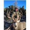 Image 3 : TROPHY NEW MEXICO MULE DEER HUNT W/BLACK
