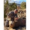 Image 4 : TROPHY NEW MEXICO MULE DEER HUNT W/BLACK