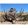 Image 6 : TROPHY NEW MEXICO MULE DEER HUNT W/BLACK