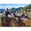 Image 1 : OREGON COLUMBIAN BLACKTAIL DEER HUNT