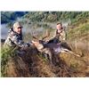 Image 3 : OREGON COLUMBIAN BLACKTAIL DEER HUNT