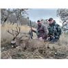 Image 4 : OREGON COLUMBIAN BLACKTAIL DEER HUNT
