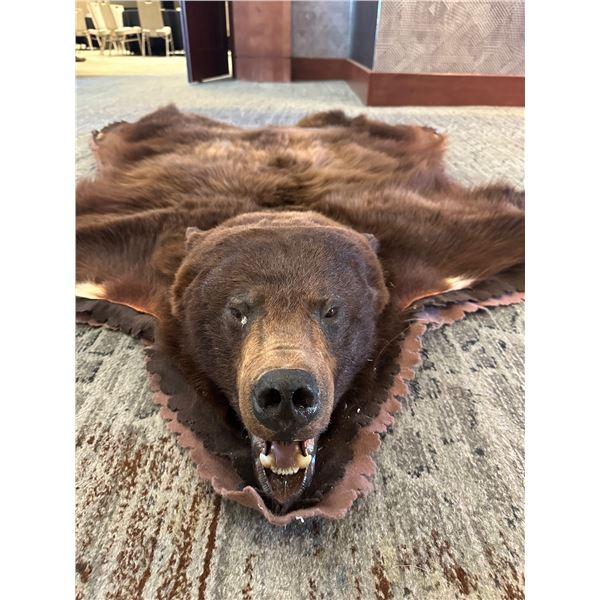Cinnamon Bear Rug