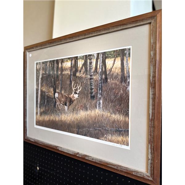 Framed Mule Deer Print 33 X 26" by John W Stewart 977/999