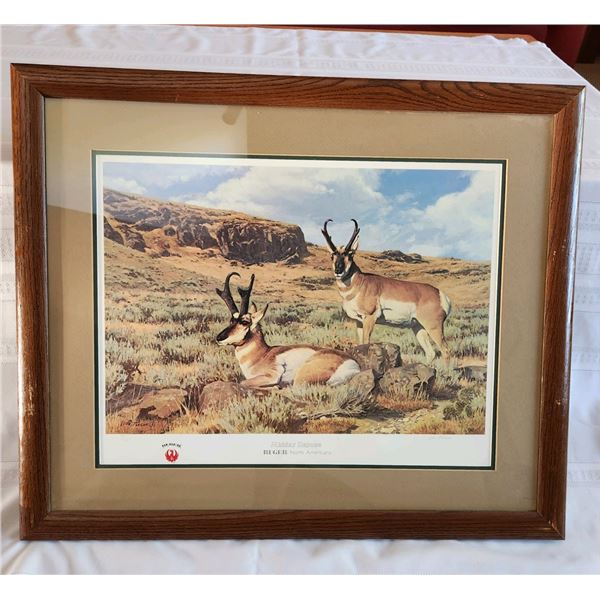 Midday Repose Leon Parson - Ruger Print - Antelope - #107 / 950