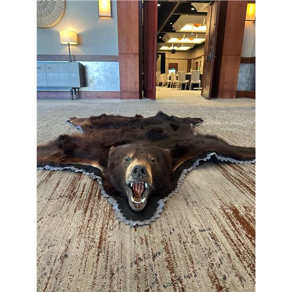 Black Bear Rug
