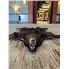 Image 1 : Black Bear Rug