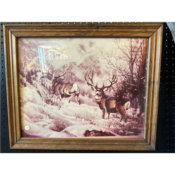 Mule Deer Print - Framed