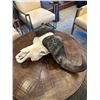 Image 1 : Cape Buffalo Bleached Skull