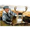 Image 1 : Katmai Guide Service 7 Day Blacktail hunt for 2 in 2024