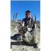 Image 1 : 4 Day Mexican Central Plateau Whitetail Hunt during Winter 2025