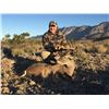 Image 2 : 4 Day Mexican Central Plateau Whitetail Hunt during Winter 2025
