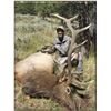 Image 2 : 2024 Commissioners Deer, Elk or Pronghorn license