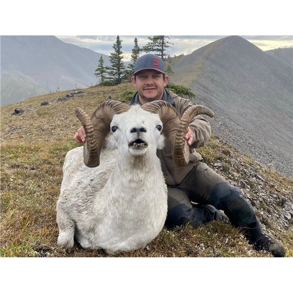 Fannin Sheep Hunt with Midnight Sun Outfitting