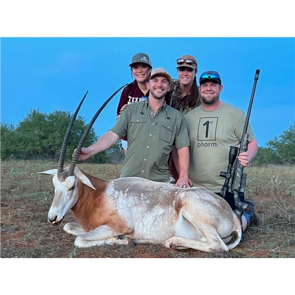 Hunt Trophy Exotic Game in South Texas