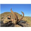 Image 2 : Sierra Nevada Ibex Hunt in Spain