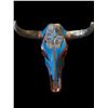Image 1 : Hand Painted Steer Skull