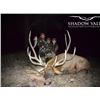 Image 2 : 7 Day Guided Early Rifle, Archery or Muzzleloader Bull Hunt with Shadow Valley Outfitters